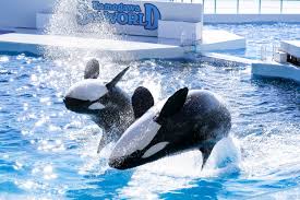 公式＞鴨川シーワールドホテル