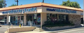 The most extensive catalog of santa clarita, california companies! Santa Clarita Florist Steve Hanauer Dies At 76