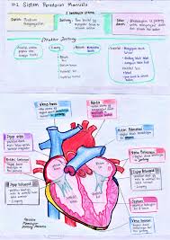 Peta minda nota sejarah form 4 bab 5. Tini Nota Biologi Bab 10 Kssm Tingkatan 4 Terkini