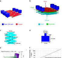 Polymeric piezoelectric accelerometers with high sensitivity ...