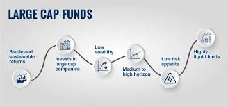 What Is Large Cap Fund - Meaning & Important Features | M.Stock