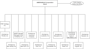 Amerigroup is a united states health insurance company founded in 1940. Prospectus Supplement