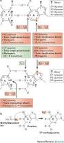 Image result for Alkylating Agent