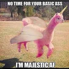 Yoga Memes Yoga Funny Memes Funny Yoga Memes Yoga Memes Funny Pilates Memes Yoga Funny Humor Yoga Humor Funn Gym Memes Funny Funny Yoga Memes Yoga Quotes Funny