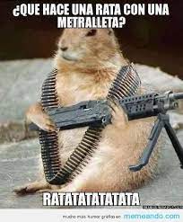 Memes De Animales Memes Para Facebook En Espanol Memeando Com Ardilla Divertida Memes Divertidos Imagenes Graciosas