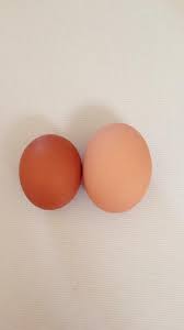 Dorene Weinstein (@dweinste1)