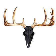 The Mini Black Faux Taxidermy Resin Deer Head Skull Wall Mount Black Deer Head Skull W Colored Antlers Faux Deer Deer Skulls Deer Head Decor