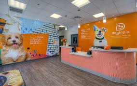 Find out what works well at wagging tails pet resort from the people who know best. Alair Homes Dogtopia Commercial Renovation 6 500 Sqft 6 Months This 6 500sf Facility Is Arizona S First Premier Dog Day C Dog Hotel Dog Daycare Dogs