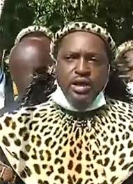 Sovereign misuzulu zulu is the oldest enduring child of the late lord goodwill zwelithini kabhekuzulu and the late sovereign official allow us to study prince misuzulu zulu and investigate his life. M24plkpxrteqqm