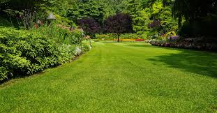 Maybe you would like to learn more about one of these? How To Grow Grass Fast This Old House