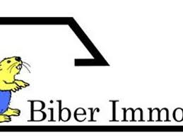 Der häufigste wert sind dabei 250 euro (daten von april 2019). Wohnung Mieten In Biberach An Der Riss Immobilienscout24