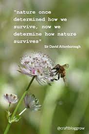 David attenborough quotes (63 quotes). Nature Quote By Sir David Attenorough