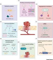 (lond), university of texas health science center, san antonio, texas. Tweak To Treat Reprograming Bacteria For Cancer Treatment Trends In Cancer