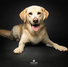 Vieler Photography added a new photo.