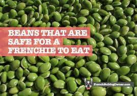 Yes, dogs can eat pinto beans. Can French Bulldogs Eat Beans Yes But Not These Beans