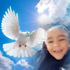 Ayat Ahmed (@titosalah114) • Instagram photos and videos