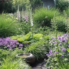 Carex Garden Design By Carolyn Mullet Plants Garden Design Landscape Design