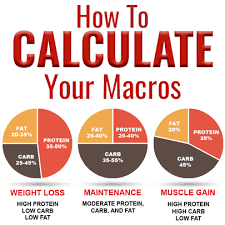 macro calculator find your macro
