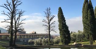Via roma, 79, calci, 56011, italy. Certosa Di Calci Pisa Arte E Cultura Con Trasporto