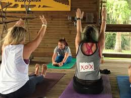 Maybe you would like to learn more about one of these? Wild Florida And Guy The Sloth Hold The Slowest Yoga Class Ever