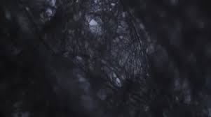 Maybe you would like to learn more about one of these? Tissue Paper Fibers Under The Microscope Stock Video Pond5