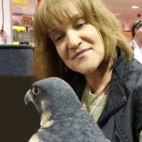 80+ "Chorney" profiles