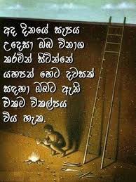 Famous Quotes About Life In Sinhala Quotesgram Get inspired with these great life quotes. famous quotes about life in sinhala