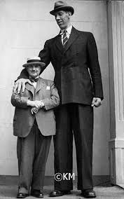Top 10 Of Everything Tall Guys Tall People Giant People