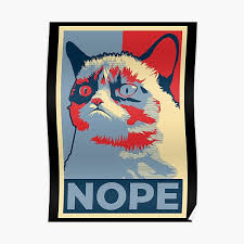 Nope Cat Meme Poster By Shirtbricks Redbubble