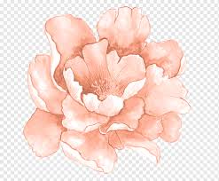 Tersedia lukisan pemandangan, lukisan hewan, lukisan panen, lukisan abstrak, lukisan bunga dan lukisan kaligrafi islami. Lukisan Bunga Oranye Bunga Cat Air Lukisan Cat Air Bunga Merah Muda Lukisan Kanvas Lukisan Mawar Urutan Png Pngwing