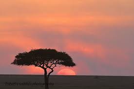 Robert Lepore (@leporerobert35) · Instagram photos and Reels