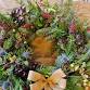 Make Your Own Christmas Wreath. event image