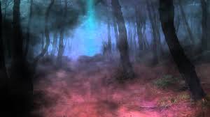 Dark Forest Video Designed By Dreamscene Org Youtube If you're looking for the best dark forest background then wallpapertag is the place to be. dark forest video designed by dreamscene org