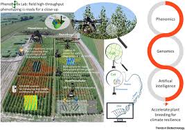 Revolutionary developments in plant molecular ibrokhim y. Accelerating Climate Resilient Plant Breeding By Applying Next Generation Artificial Intelligence Trends In Biotechnology