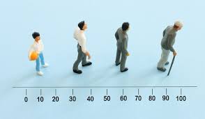 Image result for Life Expectancy