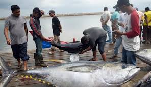 12 kita juga bisa menjadi sahabat yehuwa jika kita mencari kekayaan yang sesungguhnya dan tidak terikat dengan dunia perdagangan. 7 Hasil Laut Indonesia Dengan Harga Selangit Yang Bikin Nelayan Hidup Sejahtera Boombastis