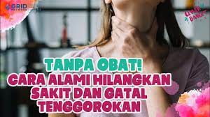 Entah itu batuk berdahak atau batuk kering yang membuat tenggorokan terasa semakin sakit. Tanpa Obat Ini 5 Cara Alami Hilangkan Tenggorokan Sakit Dan Gatal Youtube