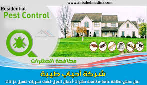 افضل شركة مكافحة حشرات بالاحساء وارقام شركات رش مبيدات بالاحساء Pest Control Pests