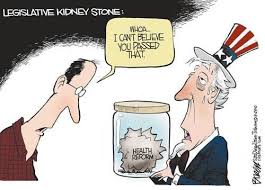 Which caused kidney failure and septic shock. Funny Quotes About Kidney Stones Quotesgram