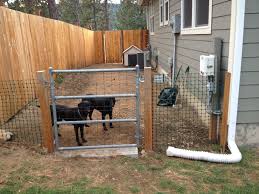 Life At The Lake Landscaping And Outdoor Projects Outdoor Dog Runs Backyard Dog Area Diy Dog Kennel
