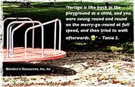 See, rate and share the best #playground memes, gifs and funny pics. Pin By Meniere S Resources Inc On Memes Garden Bridge Playground Outdoor Structures