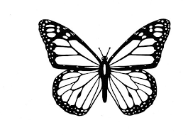 Full, six flying monarch butterflies transparent background png clipart. Free Image On Pixabay Butterfly Black And White Butterfly Clip Art Butterfly Outline Butterfly Coloring Page
