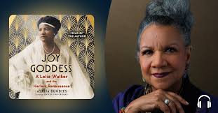 Stacey Abrams Asked, What Happens 'While Justice Sleeps'? And a Legal  Thriller Was Born