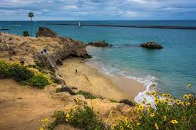 A french and english tutor who makes learning fun! Top 10 Kid Friendly Beaches In Orange County California Beaches