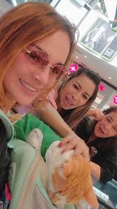 Meu passeio no shopping 😺, #gato #catsofinstagram #love #felinos #instacat  #cats #catlover #cute #gatosdeinstagram #reels #havana #catstagram #viral  #instapet #sunday #shopping #lovecats #picoftheday ...