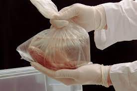 How To Become An Autopsy Technician - Career Trend