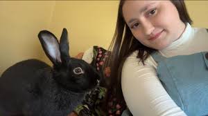 UPDATE: please keep sending prayers for my girl💕She has an absess in her  cheek CT scan have showed the Specialist Vet and the Dental Team what they  need to see and surgery