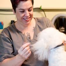 Pet store · clinton hill · 6 tips and reviews. Pet Grooming Salon Cat Dog Grooming Service Shop In Lakewood At Pet S General Store