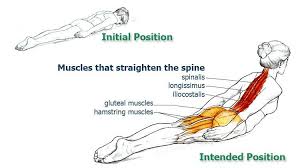 Pin On Exercise