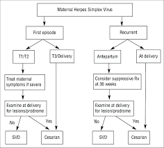 Management Of Maternal Herpes Simplex Virus Download Scientific Diagram